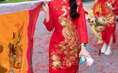 橘梨纱种子下载